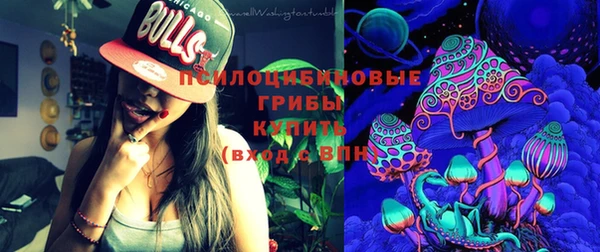 прущие крисы Арсеньев